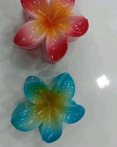Combo Of 2 Trendy Claw Clips