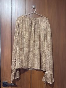 Brown Shimmer Top