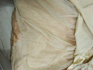 Ethnic Gown Party