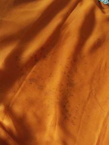 Elegant Orange Saree