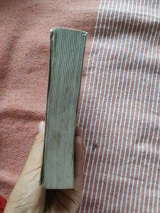 Webster English Dictionary