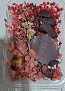 Resin Dry Flower Pack Of 1