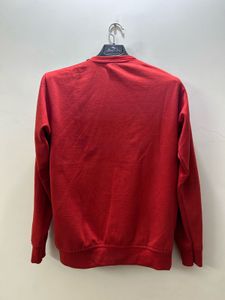 Mens sweatshirt