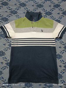 Flick Striped Polo T Shirt (💚 🤍 💙)