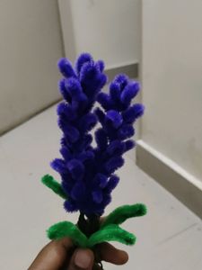 Lavender Flower