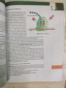 Class 12  Biology Ncert