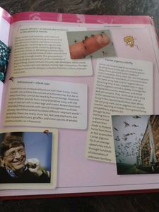 Knowledge Encyclopedia