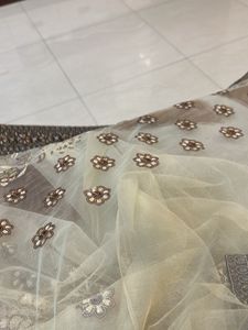 Embroidered Net saree with blouse