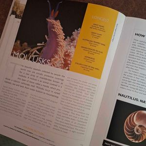 National Geographic ANSWER BOOK