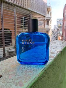 Wild Stone Hydra Energy Eau de Parfum