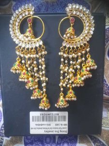 Beautiful Long Statement Danglers