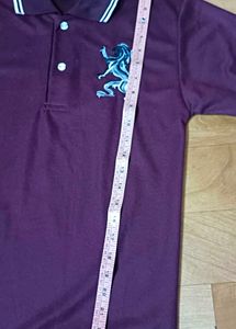 Burgundy T-shirt For Men