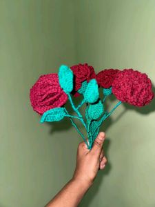 Carnation Flowers With Leaf Stem