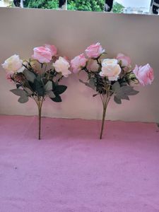 Light Pink Roses