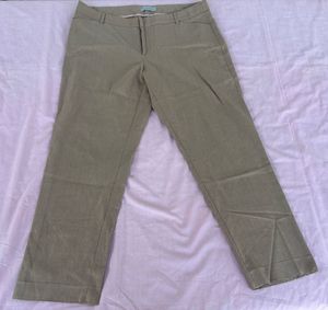 GAP Ankle Womens Formal Pant