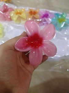 Cute Flower Hair Claw Clip (Set Of 5)