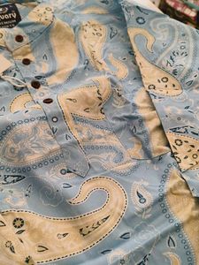 Paisley Print Kurta style Shirts for a Refreshing