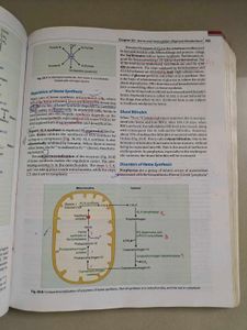 Biochemistry Textbook for Medical Students 9th Edi