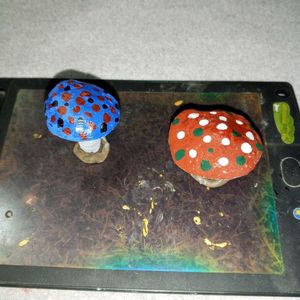 Mashroom Showpeace.