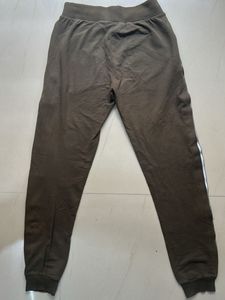 Olive 'Conquer' Track Pants