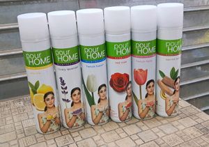 Room Freshner (Pack Of 6)