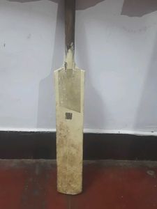 cricket bat