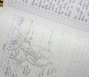 Class 10th Biology Notes📖