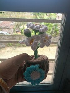 Flower Pot