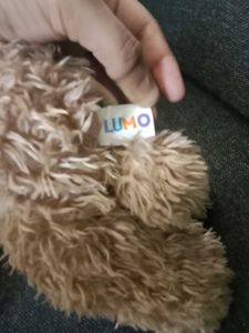 Cute Poodle Plush Toy