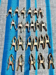 Cloth Drying Clip