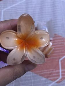 Hair Claw Clip Set