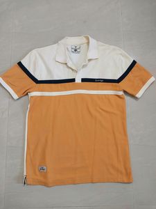 T-shirt (New) Dual Tone Collar Nack T-Shirt By Radiology (NEW)