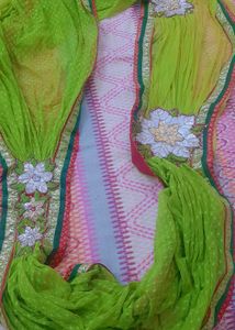 Beautiful Ready To Wear Saree