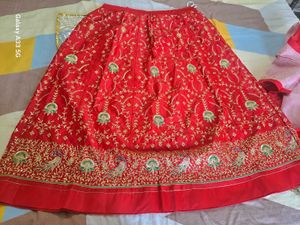 Red ( blood) Embroidered Heavy Poshak
