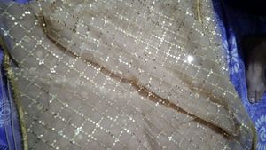 Net Sequence Saree