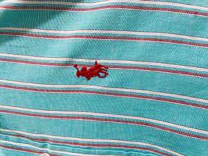 Striped Shirt