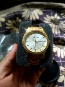 Titan Analog Watch Gold Case