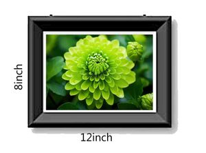 Photo Frame