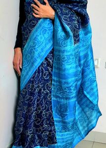 Elegant Blue Paisley Saree