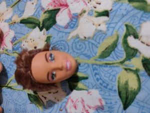 10  Barbie Heads - Upcycle or Display
