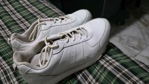 Not used to wear sports shoes.