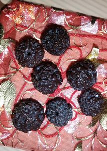 7 Original Nepali Rudraksha