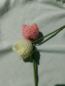 Tulip 🌷🧶