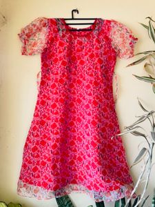 Organza Dress For Women