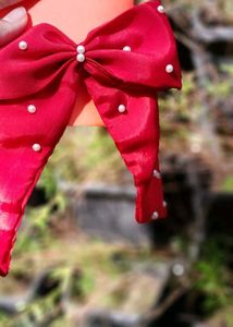 Premium Bow Clips