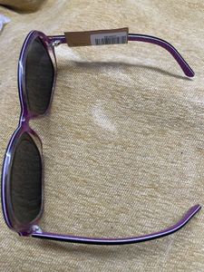 Chic Sunglasses
