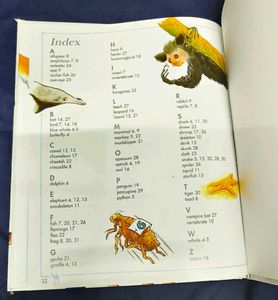 Camels Have Hump/ I Wonder Why Children Book