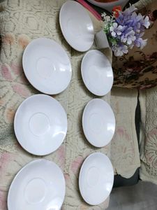 Saucers (Quality Product)