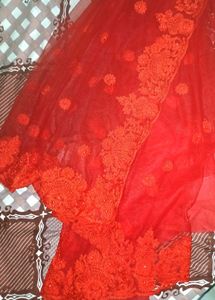 Net Embroidered Saree