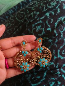 New Fancy Earrings Without Tag